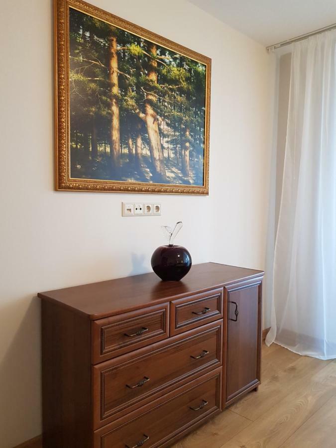 Neringa Apartments 克莱佩达 外观 照片